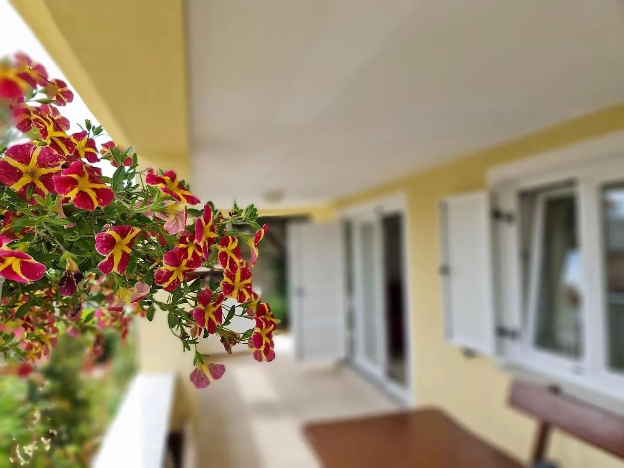 Eden Apartment Kornic Croatia