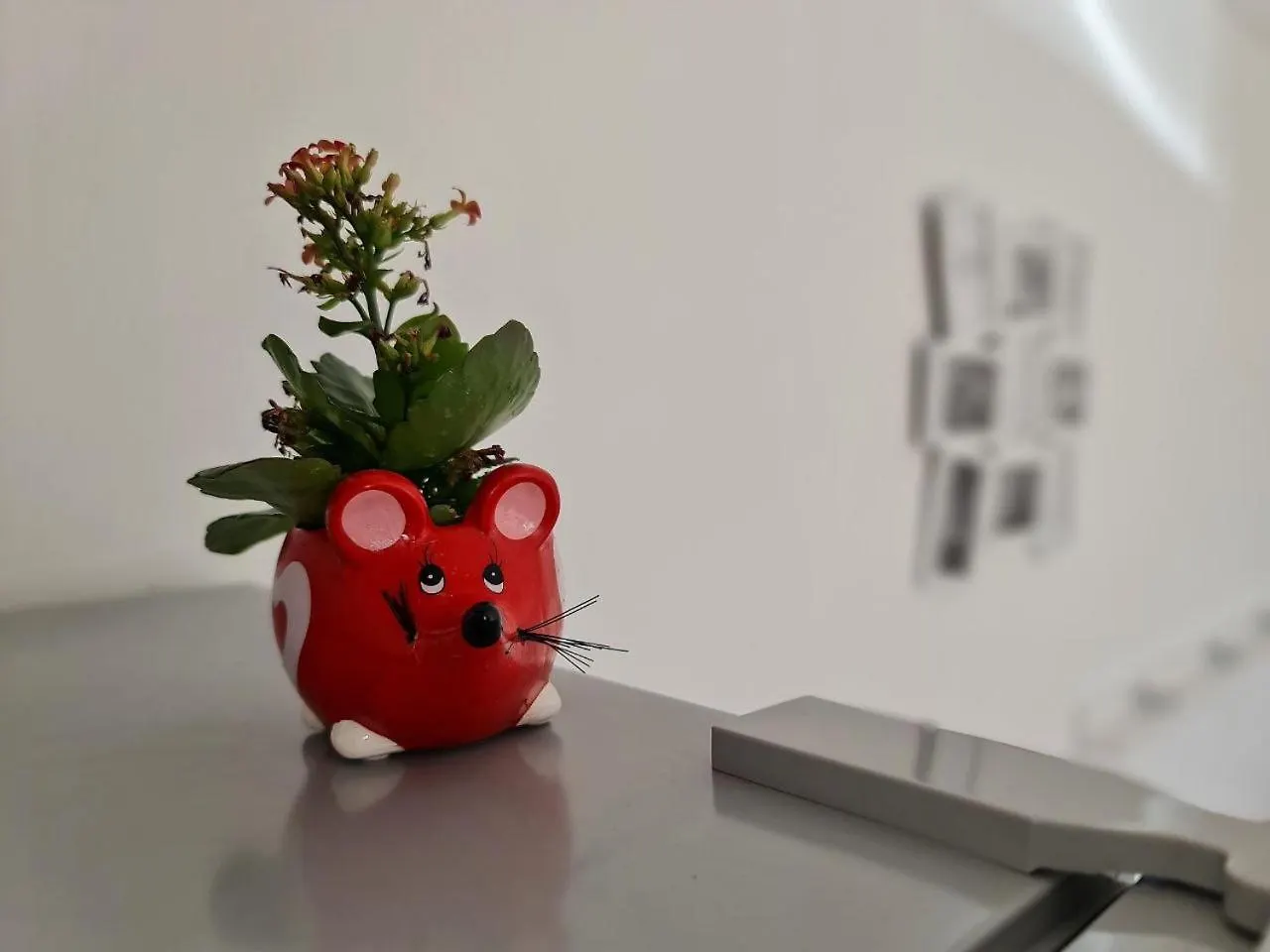 Eden Apartment Kornić