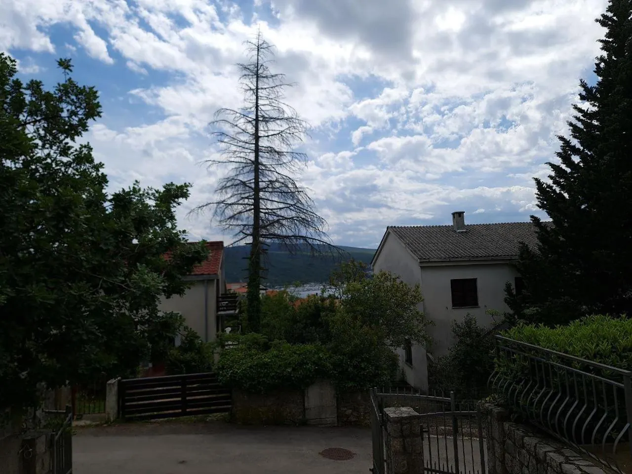 Eden Apartment Kornić